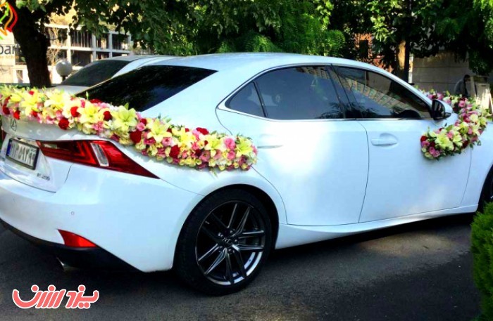 پکیج ویژه جشن عروسی و عقد (آرایش، ماشین و دسته گل، فیلم برداری و سفره عقد) در یزد ارزان